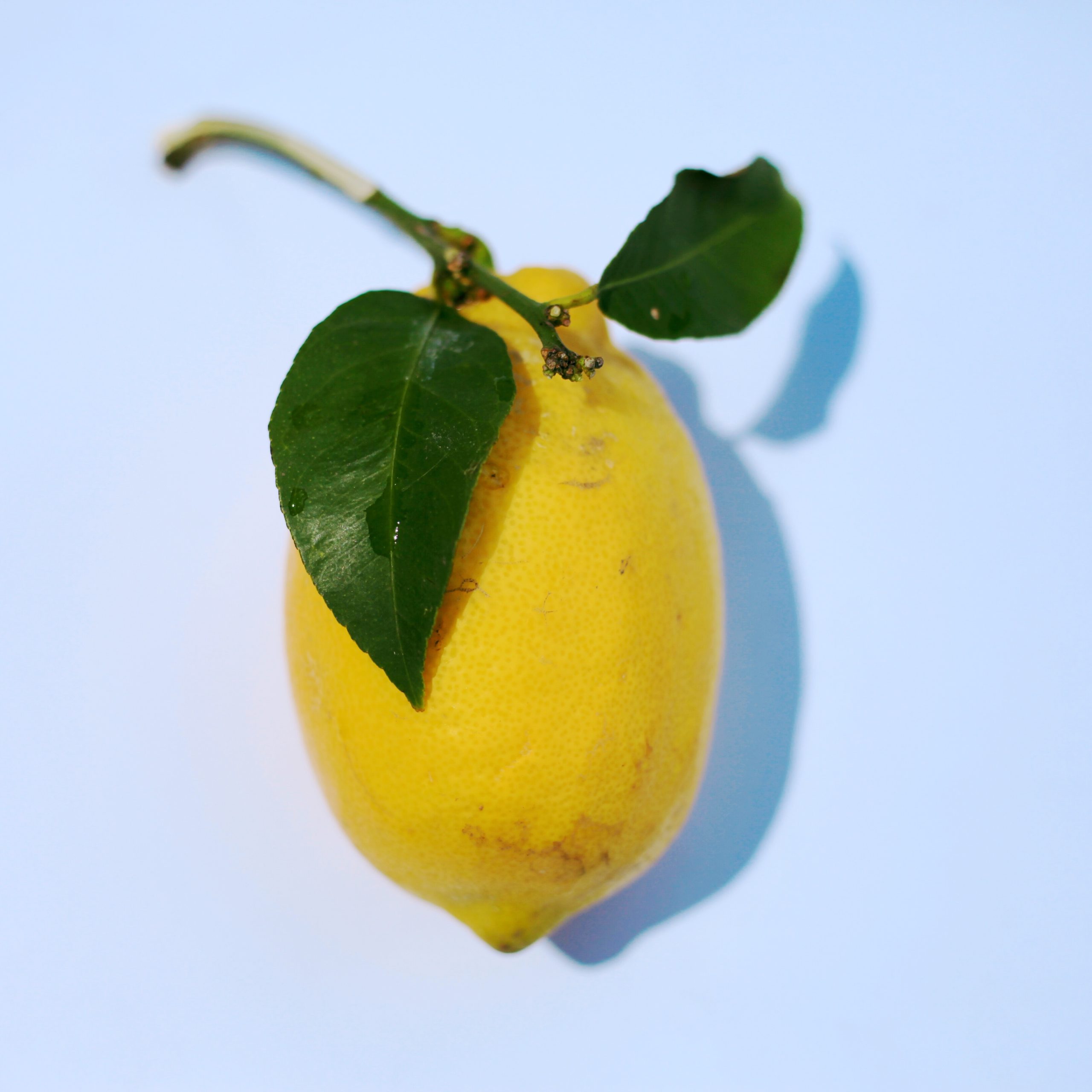 Lemon Liqueur Recipe D.I.Y.