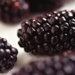 Blackberry Basil Liqueur recipe D.I.Y.