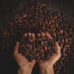 Cacao Liqueur Recipe D.I.Y.