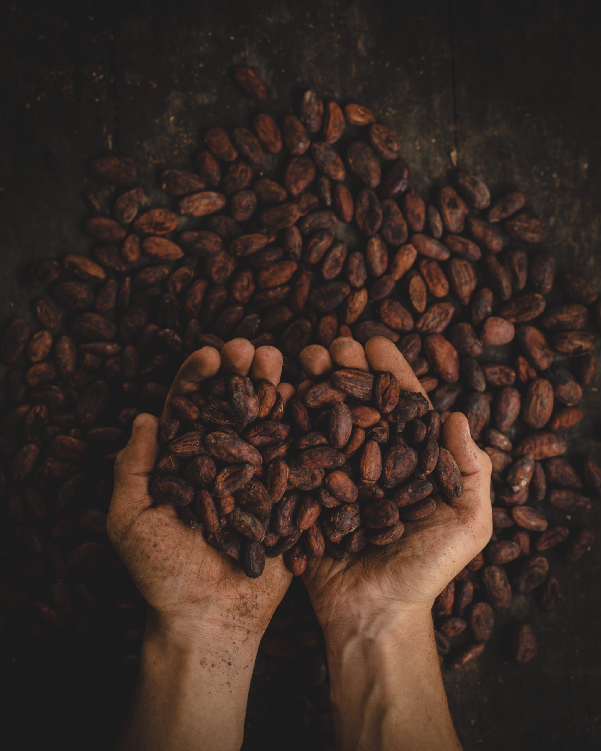 Cacao Liqueur Recipe D.I.Y.