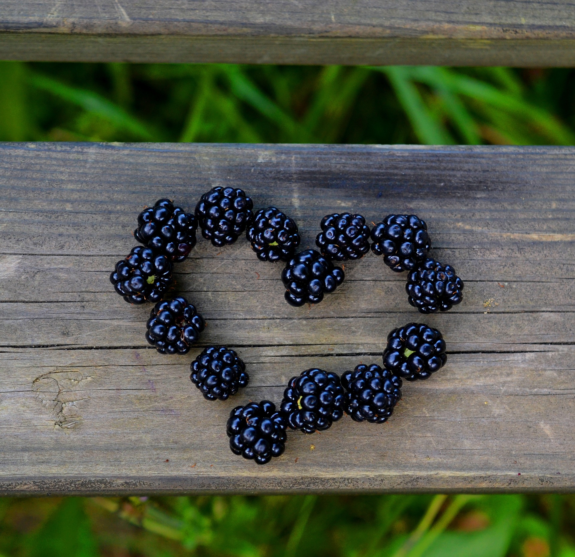 Blackberry Wine Recipe D.I.Y.