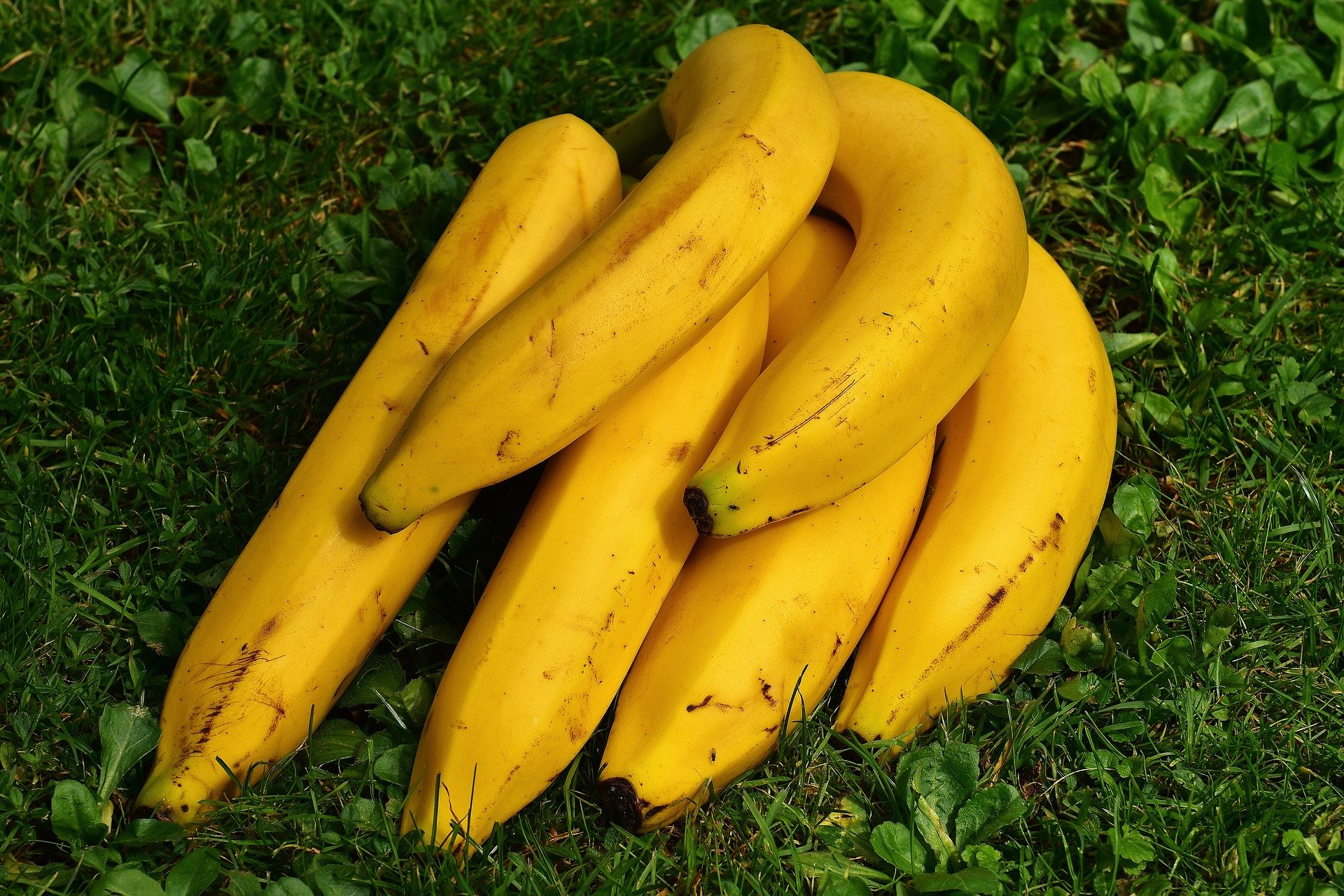 Banana Infused Bourbon Liqueur Recipe D.I.Y.