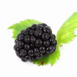 Blackberry Moonshine Liqueur Recipe D.I.Y.