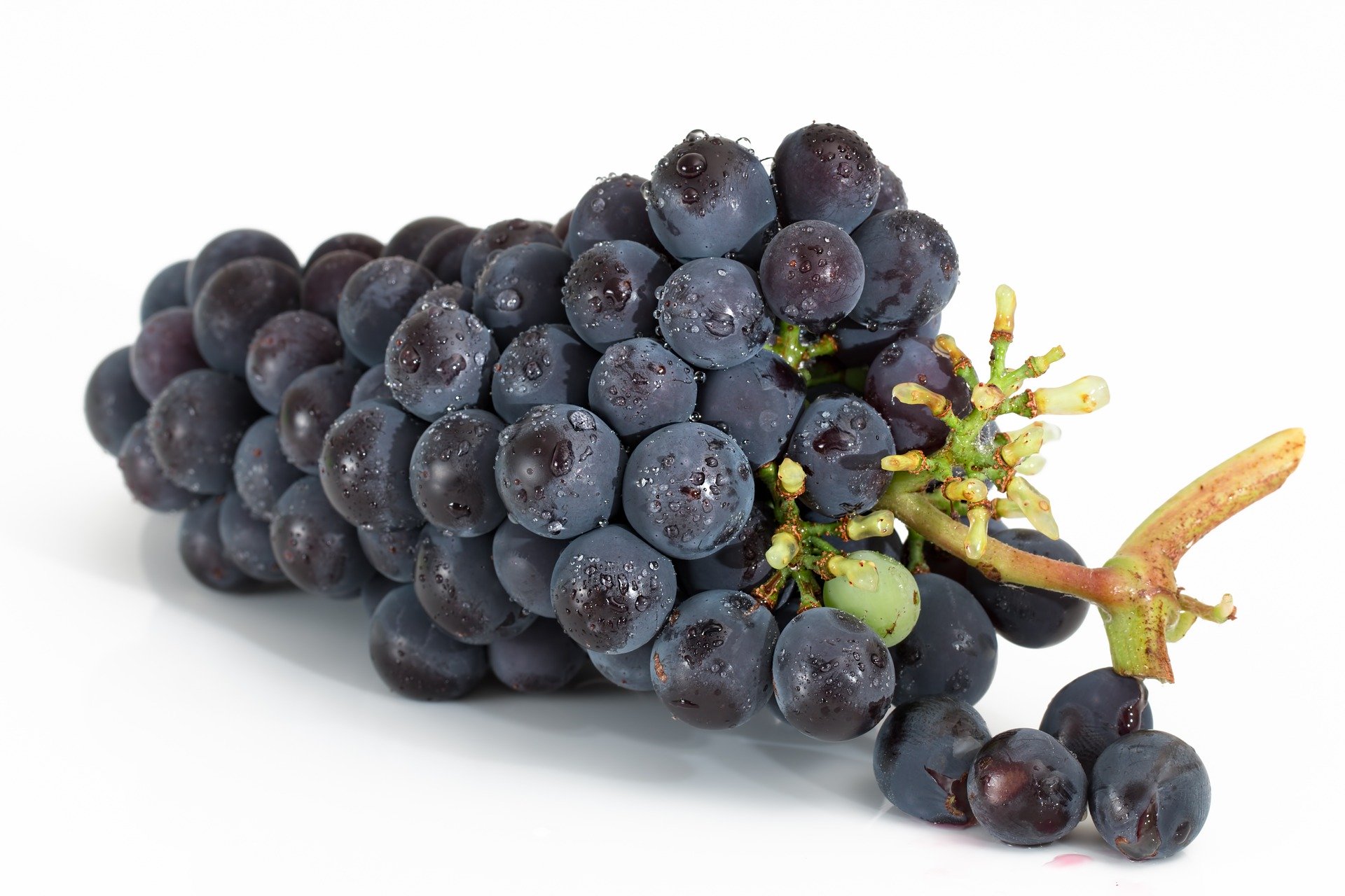 Grape Liqueur Recipe D.I.Y.