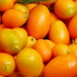 Kumquat Mead Recipe D.I.Y.