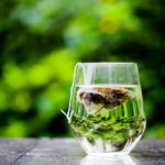 Green Tea Liqueur Recipe D.I.Y.
