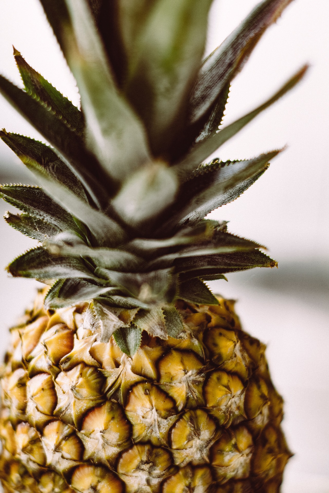 Roasted Pineapple Infused Mezcal Recipe D.I.Y.