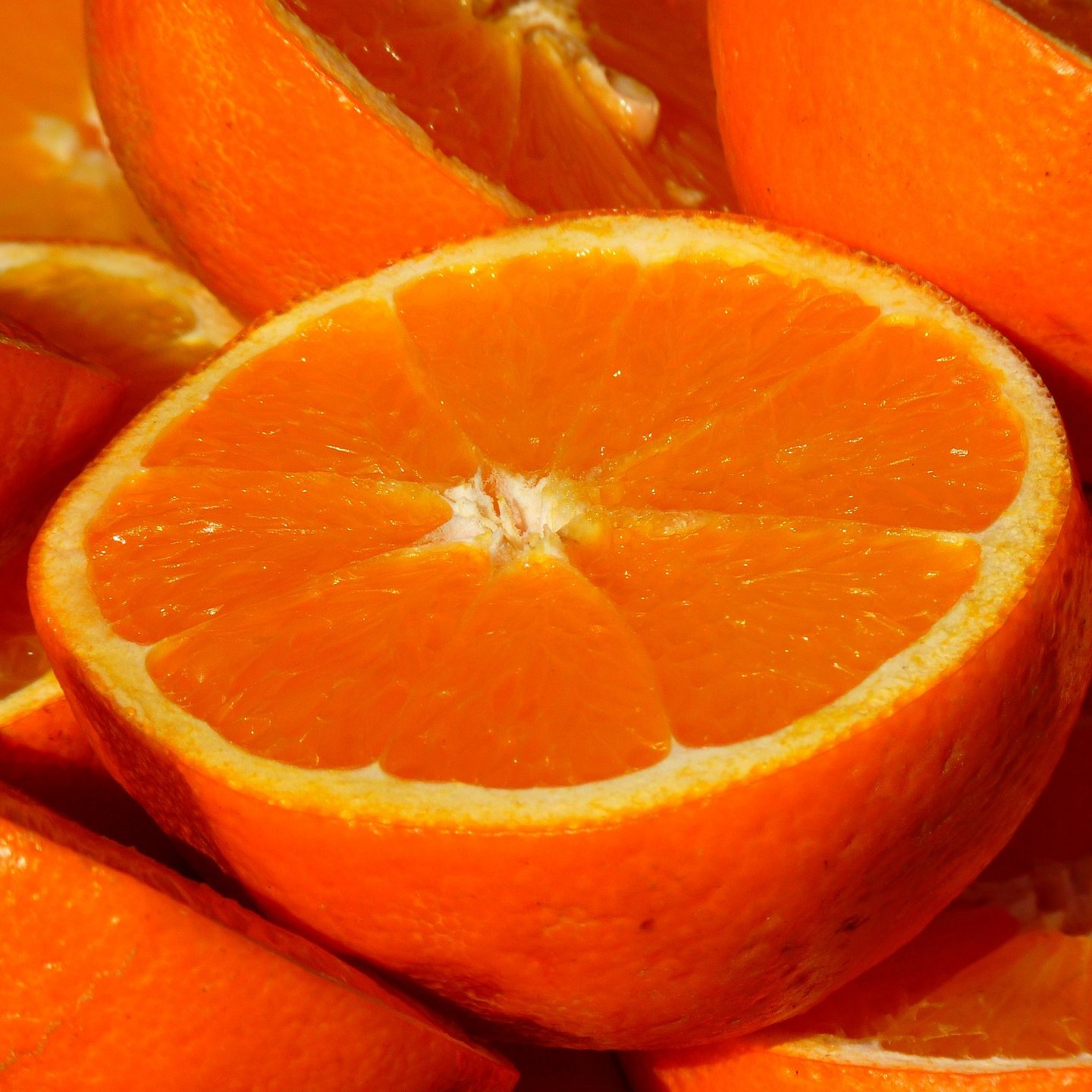 Orange Spice Mead Recipe D.I.Y.