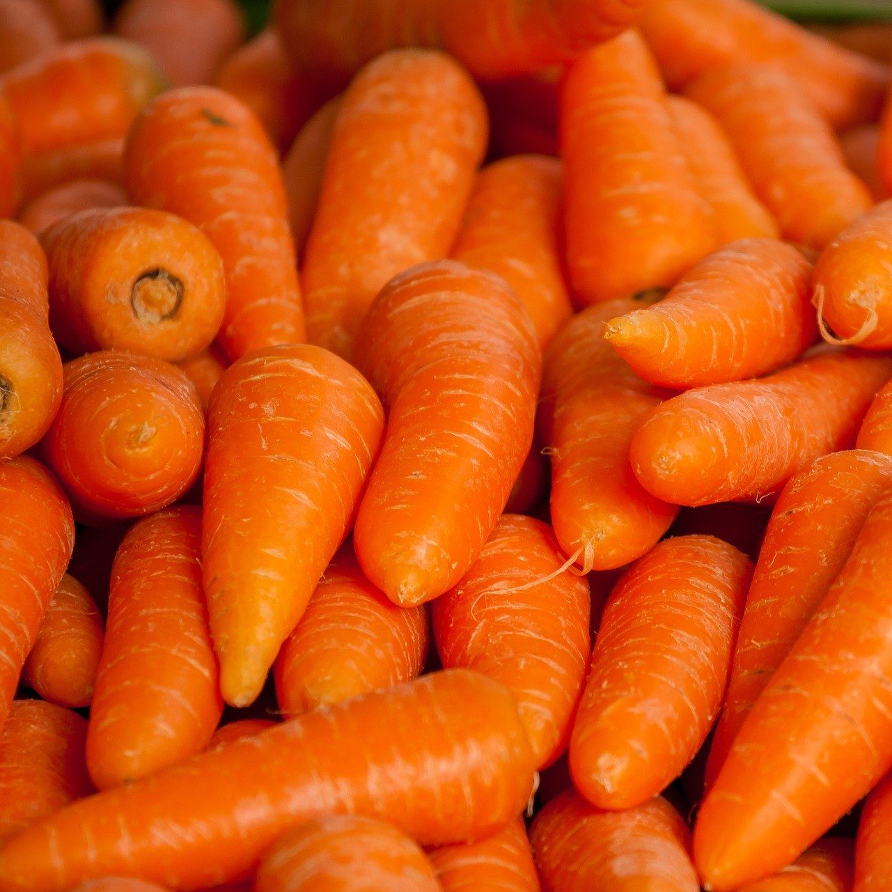 Carrot Mead Recipe D.I.Y.