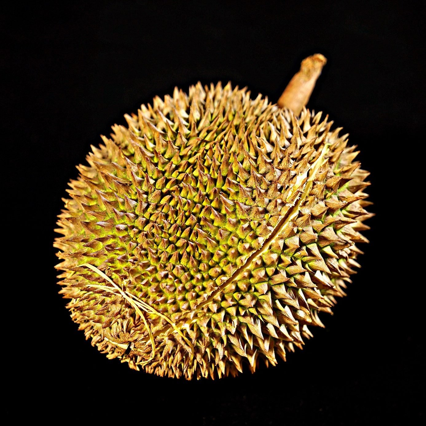 Durian Wine Recipe D.I.Y.