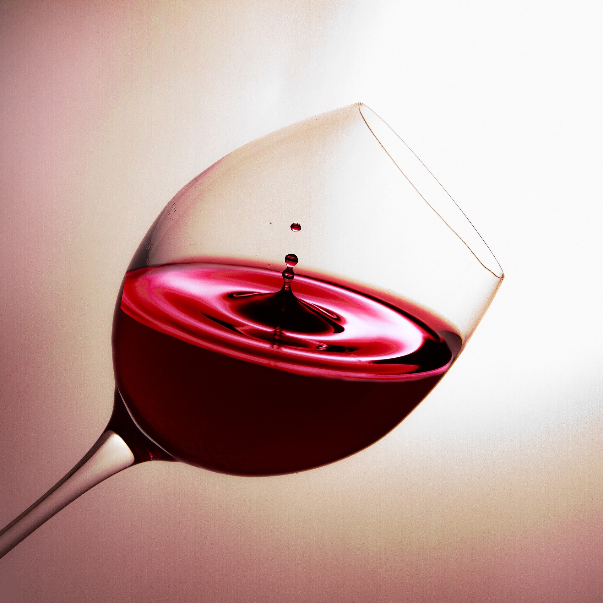 Red Wine Kombucha Recipe D.I.Y.