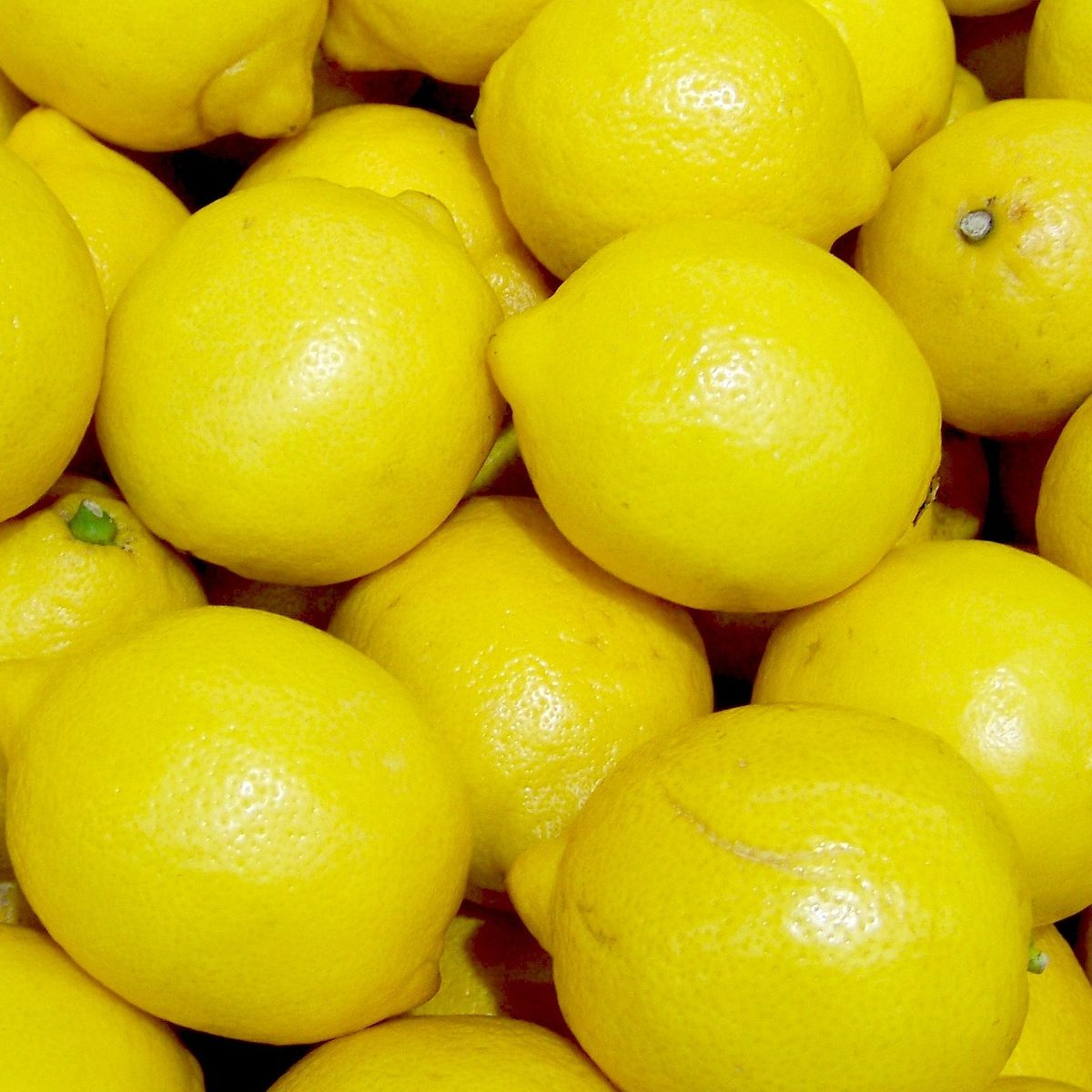 Lemon Infused Gin Recipe D.I.Y.