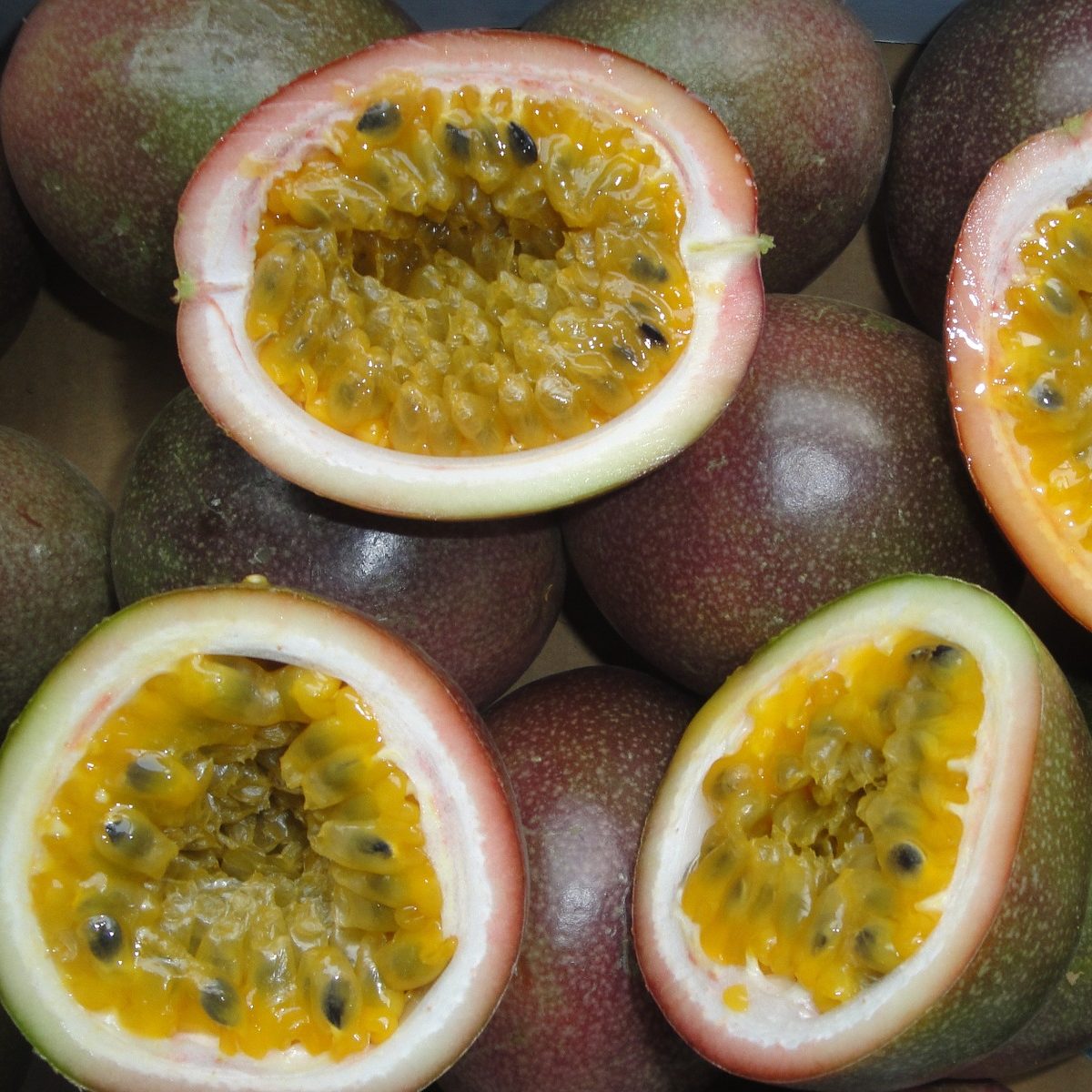 Passionfruit Cayenne Kombucha Recipe D.I.Y.