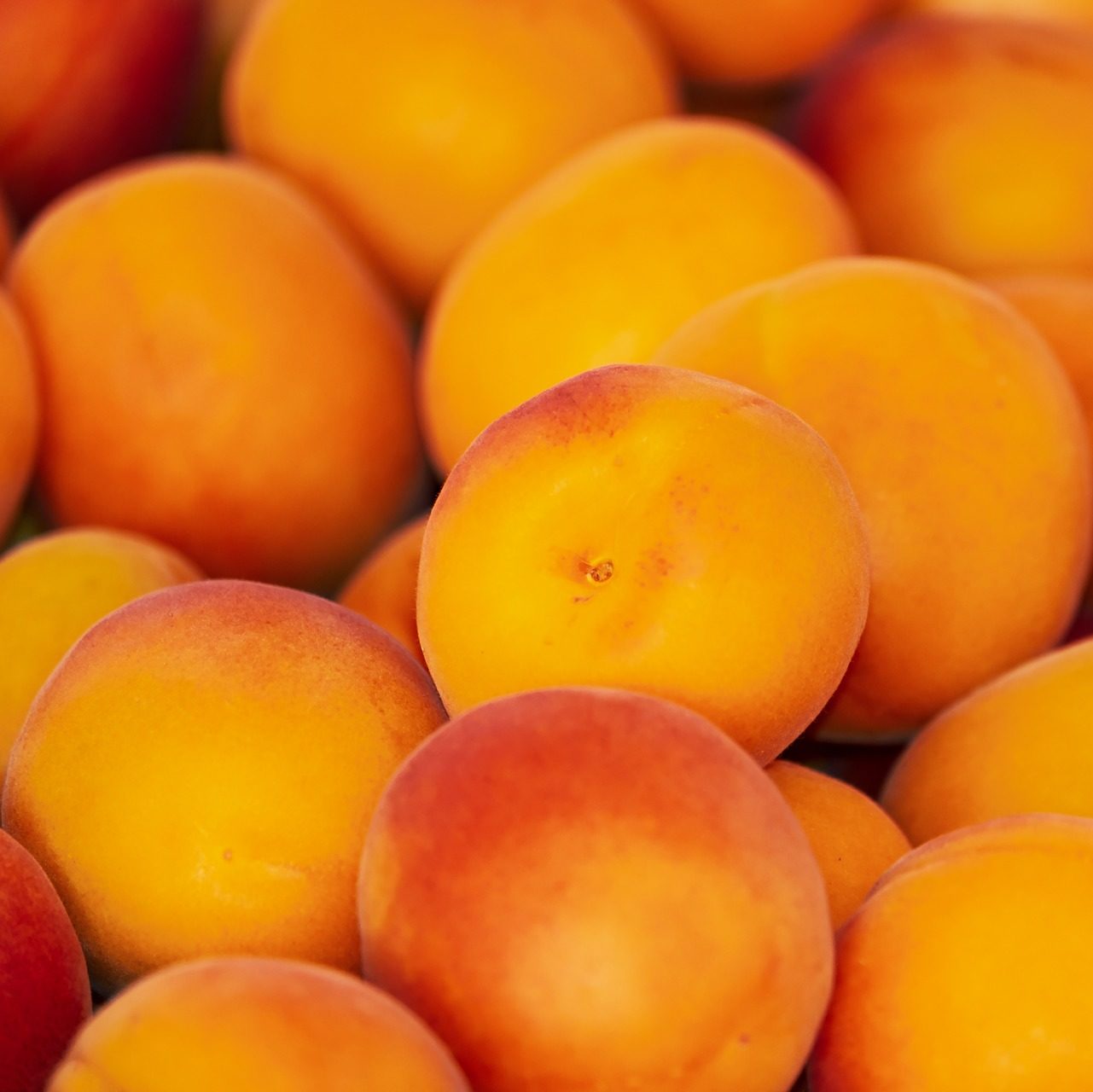 Apricot Kombucha Recipe D.I.Y.