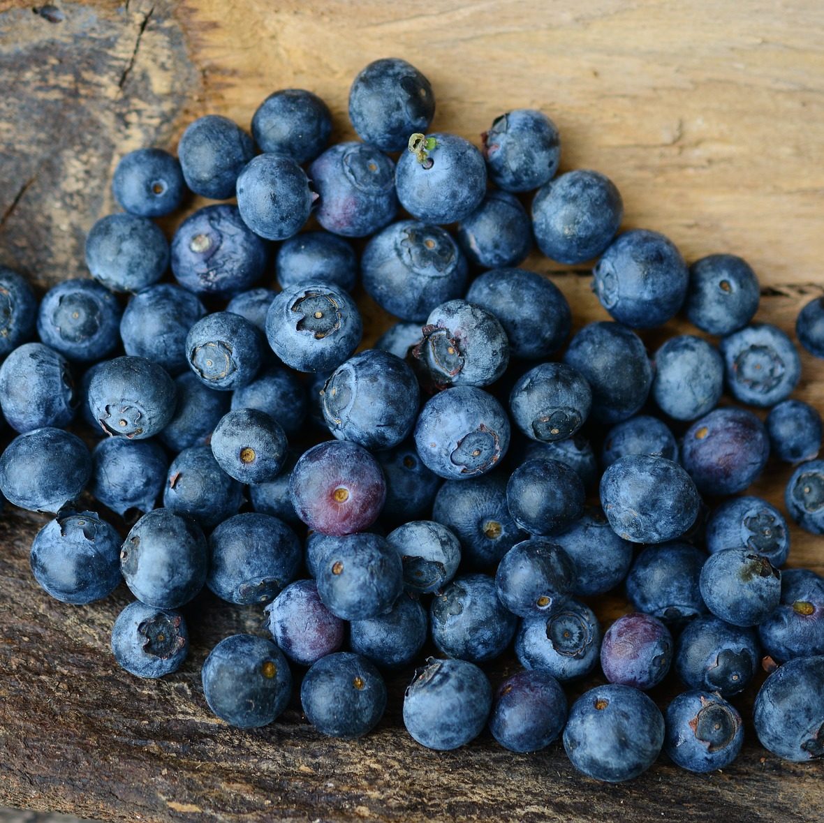 Blueberry Mint Kombucha Recipe D.I.Y.