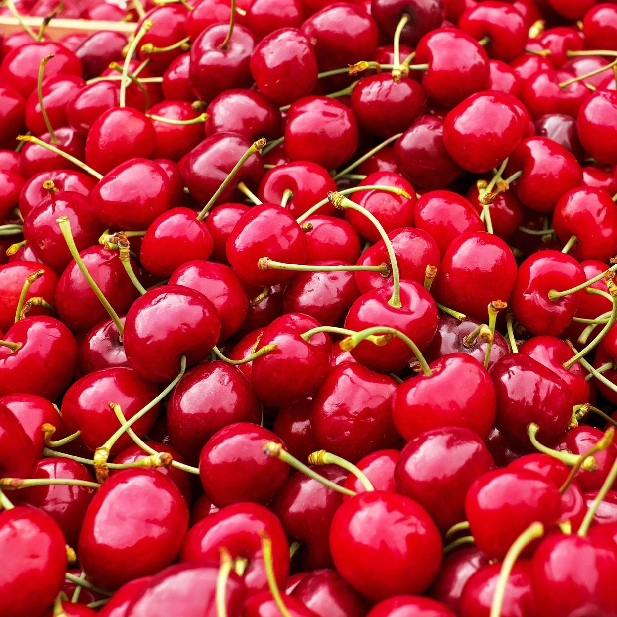 Cherry Vanilla Kombucha Recipe D.I.Y.