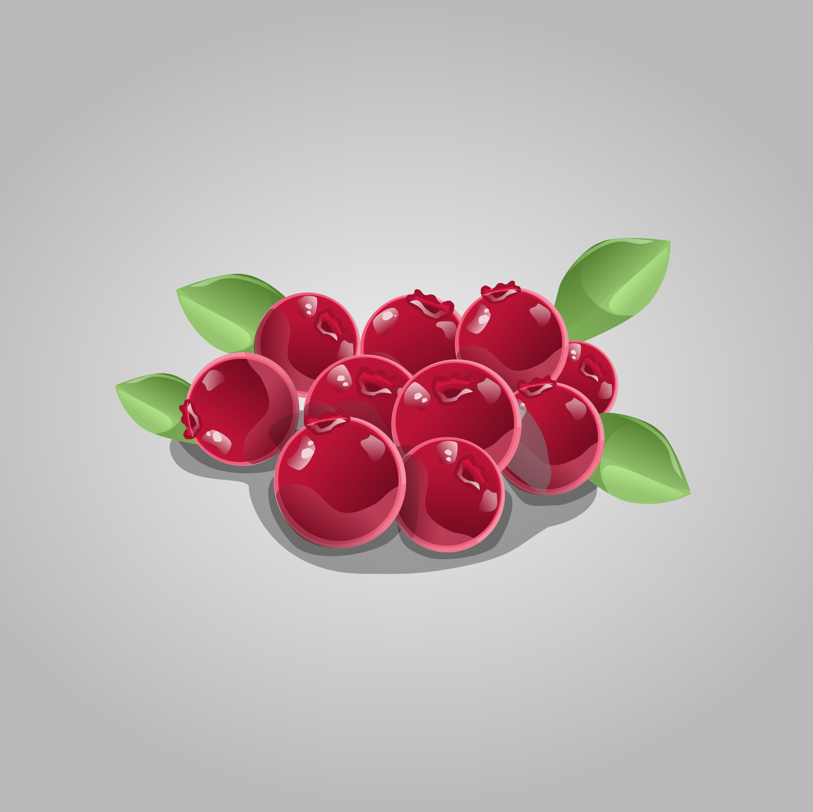 Cranberry Vanilla Kombucha Recipe D.I.Y.
