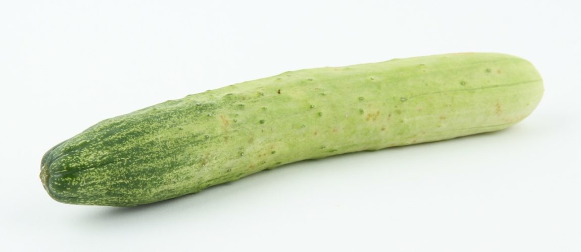 English Cucumber Liqueur Recipe D.I.Y.