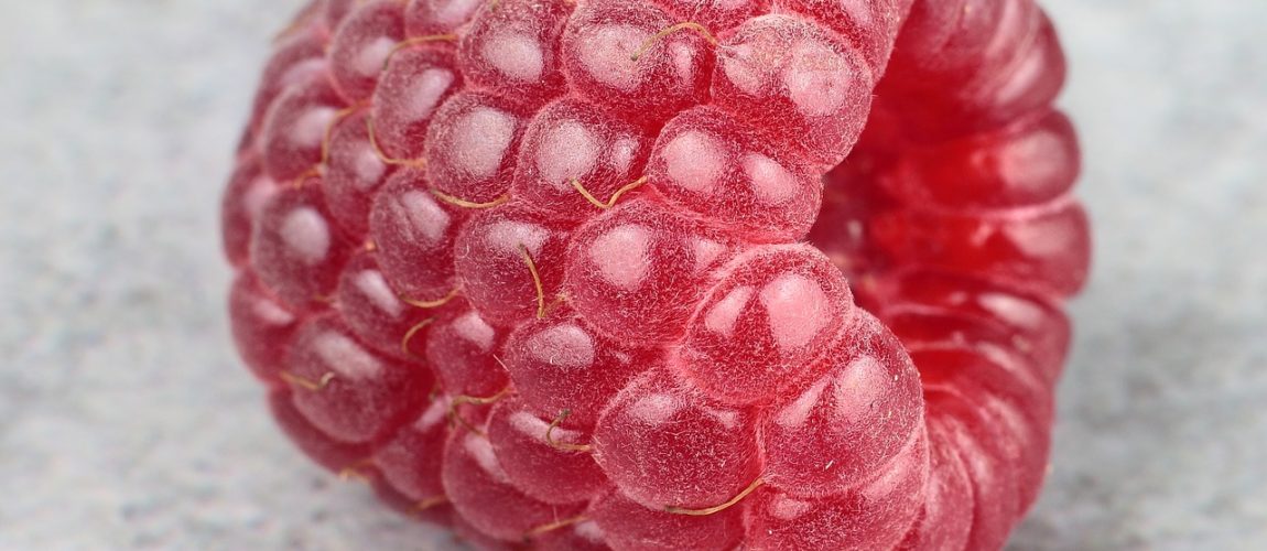 Raspberry Infused Brandy Recipe D.I.Y.