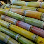 Sugarcane Wine Recipe D.I.Y.