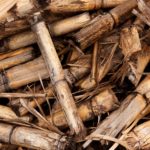 Sugarcane Infused Rum Recipe D.I.Y.